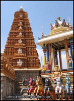 Festival apparatus and carved goparum