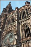 The Strasbourg Cathedral