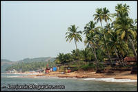 The Goan coastline