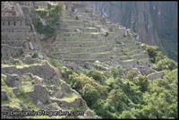 The northeast terraces