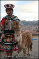 A quechua girl and her llama