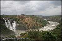 Downstream of the Falls