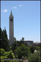 The Campanile and south campus