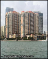 One of Miami’s many high-rise condos