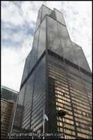 The Willis Tower (fka the Sears Tower)