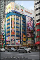In the thick of Akihabara