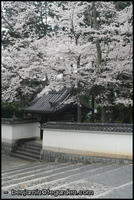 Along the path at Nanzenji