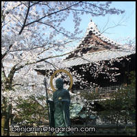 A quiet escape from the sightseeing crowds