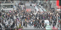 Shibuya Crossing