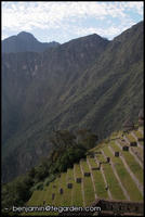 Terraced agriculture