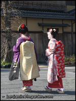 A pair of Maiko walking along
