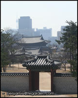 Looking over the palace grounds into modern Seoul