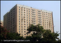 Bamboo scaffolding in bulk