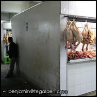 Fresh chicken for sale